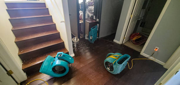 Best Local water damage restoration  in North Miami, FL