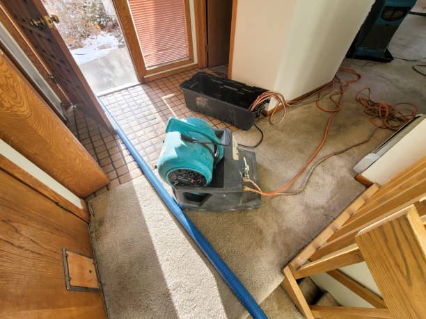 Best Flood damage cleanup  in North Miami, FL