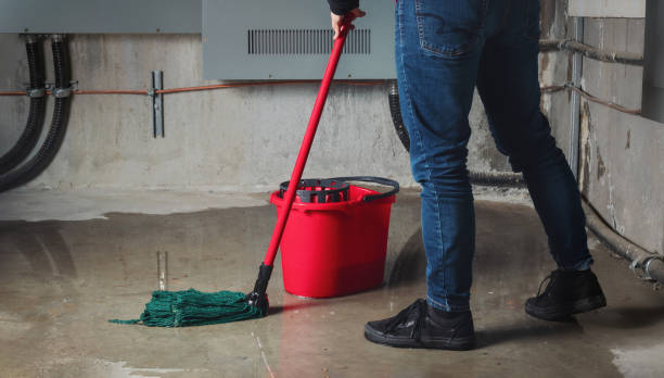 Best Water damage cleanup near me  in North Miami, FL