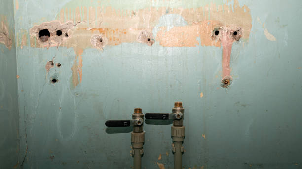 Best Water damage contractors near me  in North Miami, FL