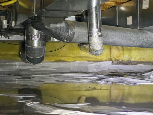 Best Water damage restoration near me  in North Miami, FL