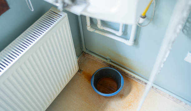 Best Water damage restoration near me  in North Miami, FL