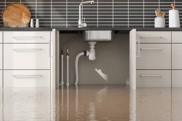 Best Fire Damage Restoration  in North Miami, FL