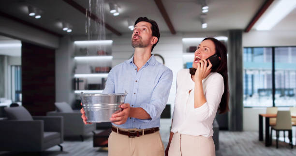 Best Carpet water damage restoration  in North Miami, FL